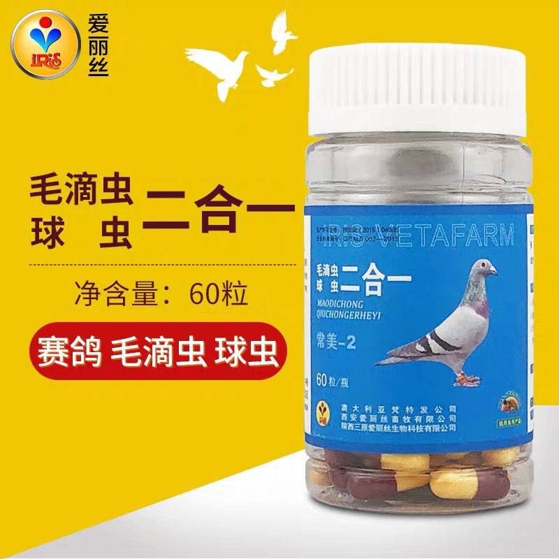 爱丽丝鸽药毛滴虫球虫二合一胶囊毛球二合双效合一信鸽子药常胶囊