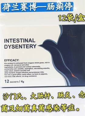 鸽子肠痢停,沙门氏副伤寒健康肠道粉剂肠胃调理荷兰赛博鸽药消炎