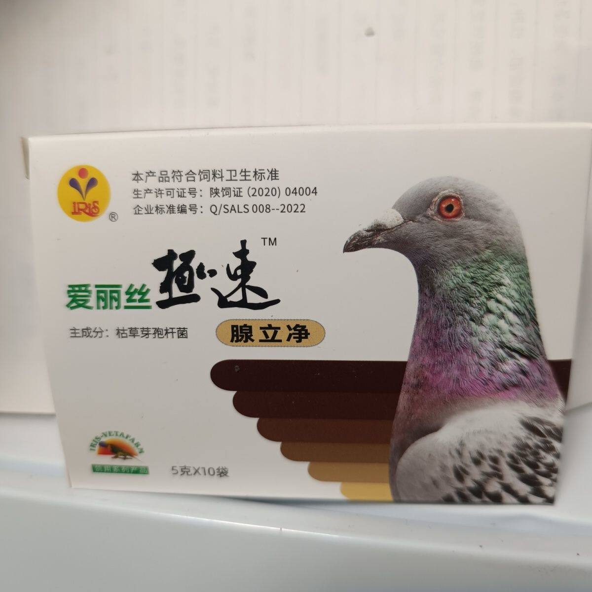 爱丽丝鸽药极速腺立净粉5克×10袋赛鸽腺病毒嗉囔炎腺痢净
