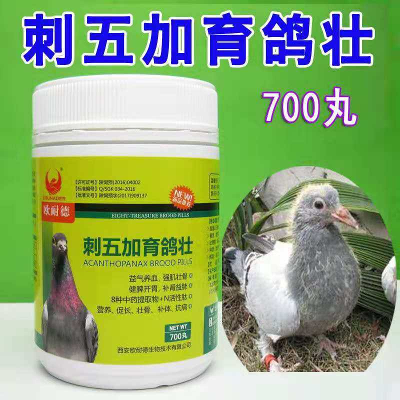 刺五加育鸽壮700丸欧耐德鸽药刺五加育雏宝幼鸽赛鸽营养品保健
