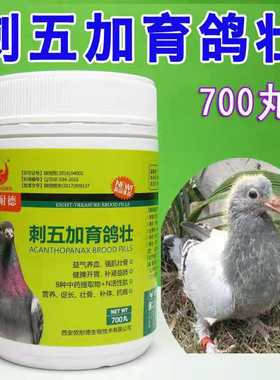 刺五加育鸽壮700丸欧耐德鸽药刺五加育雏宝幼鸽赛鸽营养品保健