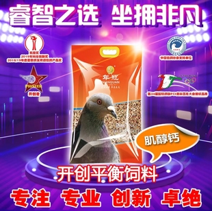 年冠鸽粮天空之城开创平衡饲料鸽子信鸽赛鸽职业基础粮 鸽粮10斤