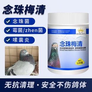 搏冠鸽药念珠梅清理念珠菌霉菌真菌嗉囊炎涨嗉积食肠炎口黄甩拉吐