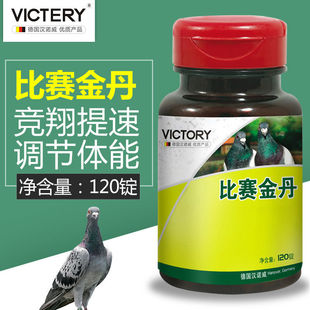 汉诺威鸽药赛鸽比赛金丹鸽子大全专用提速补体丸调理用品信鸽