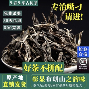 云南普洱茶生茶散茶散装 2025年头春300古树1斤勐海布朗山普洱生茶
