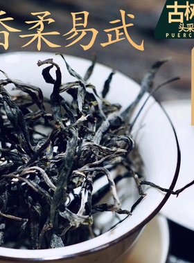 2025云南易武普洱茶生茶散茶散装1斤头春头采刮风寨百年古树纯料