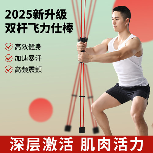 飞力仕棒多功能训练棒菲利斯飞力士健身弹力棒杆菲力仕震颤振颤棒