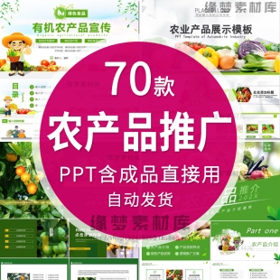 绿色农业食品产品推介宣传介绍推广营销策划项目汇报课件ppt模板