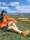 [Тот же стиль, что и у Сунь Цяня] Большие желтые ботинки Camel Mountain Yue, женская новая уличная походная обувь, мужские ботинки Martin mini 3