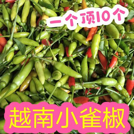 越南小雀椒小鸡椒 小雀辣野生 指天椒雀屎椒 特小特辣 魔鬼小辣椒