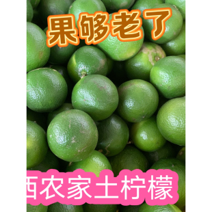 头茬土柠檬新鲜采摘 正宗广西老品种圆土柠檬 牛脚子腌咸柠檬