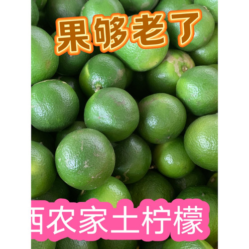 头茬土柠檬新鲜采摘  正宗广西老品种圆土柠檬  牛脚子腌咸柠檬