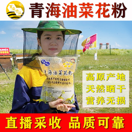 青海油菜粉百朵千丛品牌正品保障