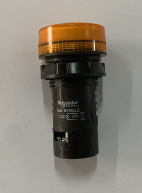 施耐德指示灯XB2-BVM5LC 22mm AC 220 V黄色