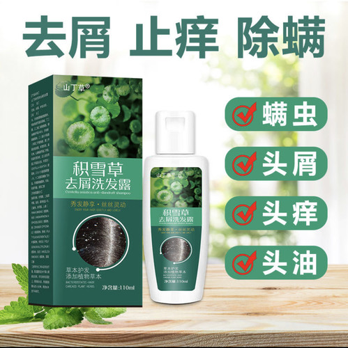 拍下发3瓶山丁草积雪草去屑抑菌洗发露控油止痒草本护发110ml