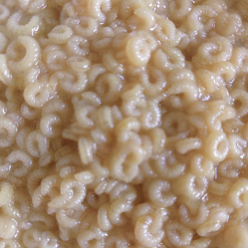 蜂王胎蜂王幼虫高蛋白食用蜂王幼虫炒鸡蛋 生食，泡酒1斤 2斤 3斤
