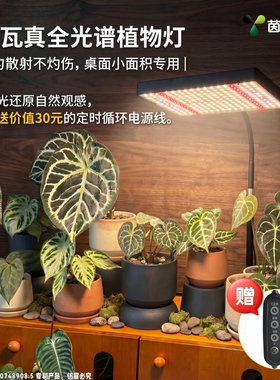 25瓦桌面全光谱LED植物补光灯室内模拟仿太阳光灯多肉绿植生长灯