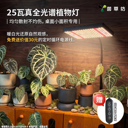 茵草坊超亮植物补光灯绿植太阳光