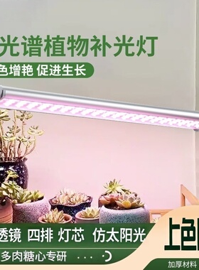 全光谱LED植物补光灯--透镜款多肉植物上色专用补光灯淡紫色光
