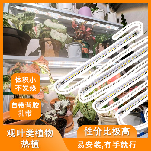 全光谱LED植物补光灯防徒长增色