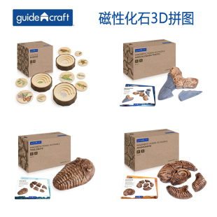 Guidecraft 磁性化石3D拼图巨齿鲨牙齿菊石海螺三叶虫6件儿童玩具