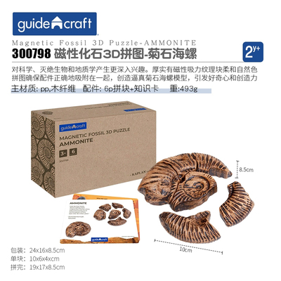Guidecraft 磁性配对化石6件套颜色配对形状识别儿童生物科学玩具