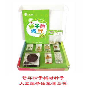 种子的旅行蒲公英莲子大豆油菜苍耳松子标本植物科学实验儿童玩具