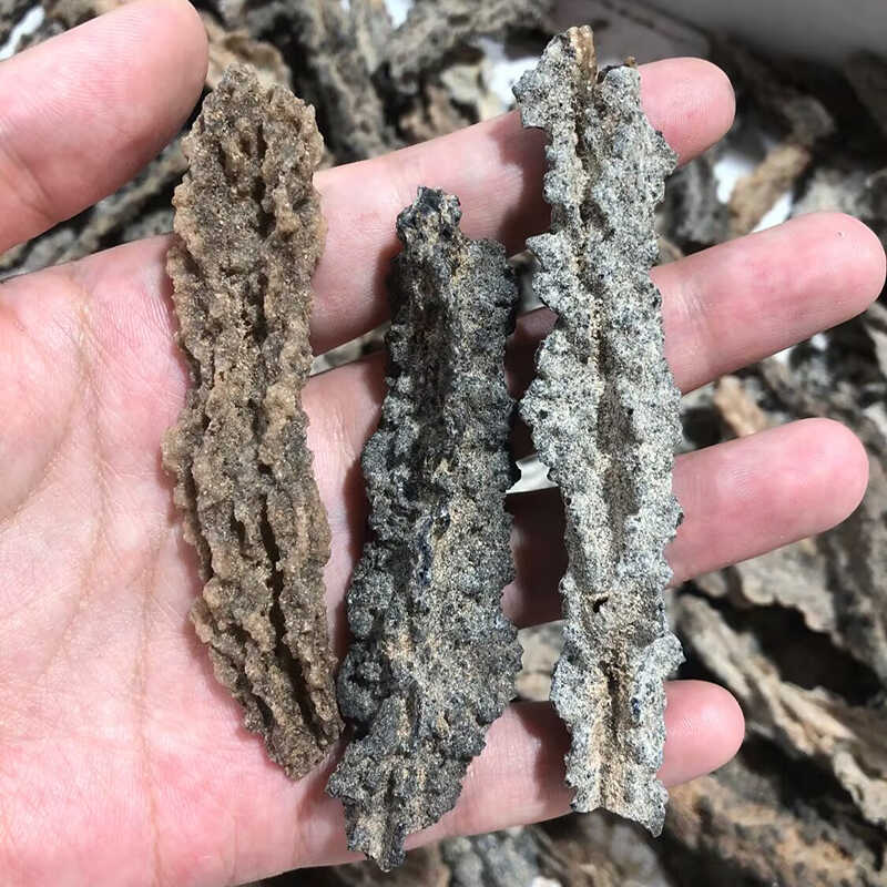 收藏天然闪电熔岩奇石