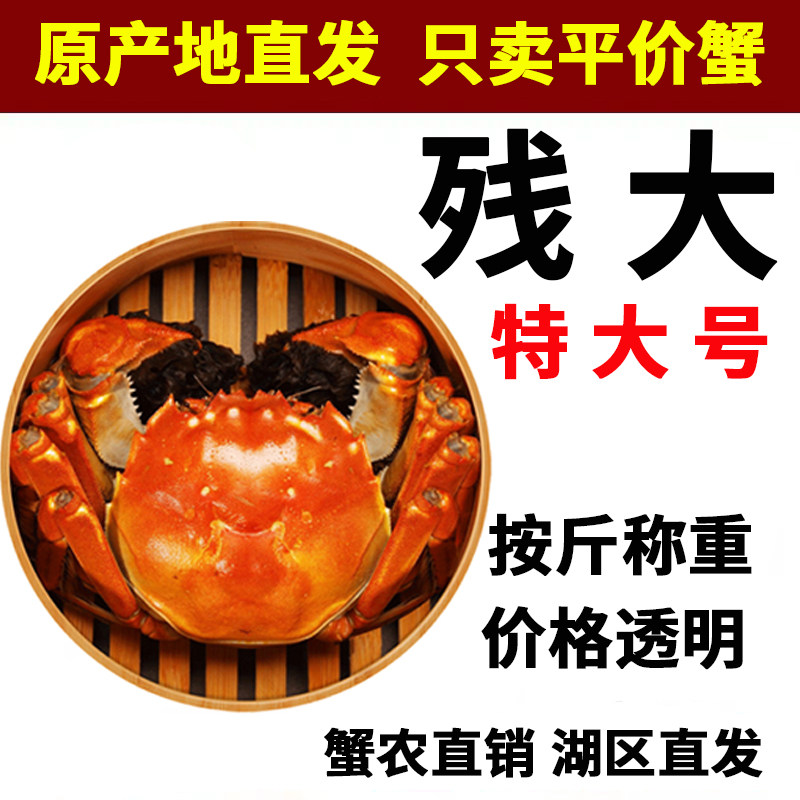 残蟹断脚蟹残公残母九公蟹九母蟹固城湖大闸蟹鲜活螃蟹清水湖蟹,水产肉类/新鲜蔬果/熟食,大闸蟹,淘宝优惠券,粉丝福利购,淘宝优惠卷