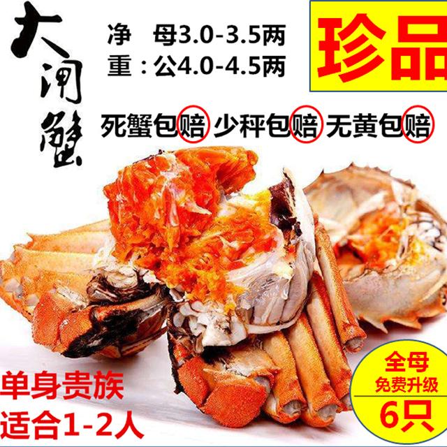 挑膏蟹大闸蟹固城湖高品质