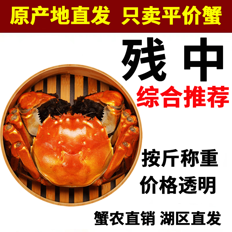 残蟹断脚蟹残公残母九公蟹九母蟹固城湖大闸蟹鲜活螃蟹清水湖蟹