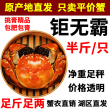 足斤足两固城湖大闸蟹鲜活精品螃蟹母蟹半斤5两公蟹净重清水湖蟹