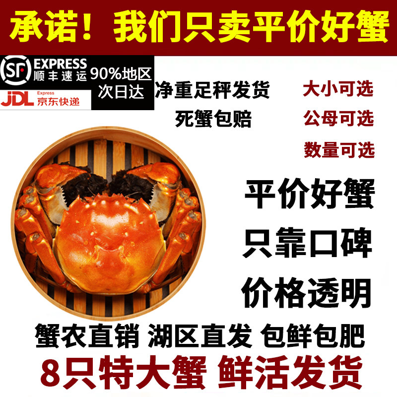现货固城湖大闸蟹鲜活精品螃蟹母蟹公蟹自选净重清水湖蟹顺丰包邮,水产肉类/新鲜蔬果/熟食,大闸蟹,淘宝优惠券,粉丝福利购,淘宝优惠卷