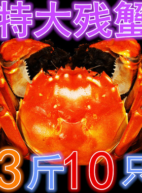 3斤净重固城湖大闸蟹公蟹大号残蟹鲜活螃蟹残次蟹断脚蟹包邮10只