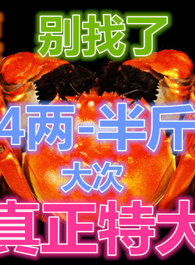 真正特大号残蟹2.7斤净重公蟹大闸蟹残蟹鲜活螃蟹残次蟹断脚蟹7只