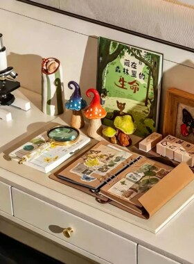 现代中古样板房儿童房书桌绘本花瓶手创笔记本放大镜组合装饰摆件