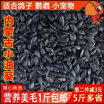 生油葵5斤鹦鹉仓鼠鸟粮食饲料是