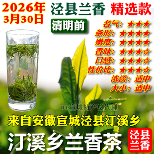 泾县兰香精选款2026年新茶清明前茶叶安徽宣城汀溪兰香型春茶绿茶