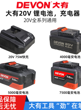 大有5168锂电20V充电器4.0/5.0Ah电池5766扳手2908角磨机原装配件