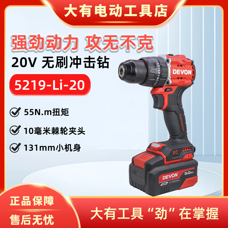大有20V无刷锂电5219冲击电钻55牛充电式家用螺丝刀多功能手枪钻