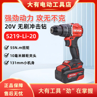 大有20V无刷锂电5219冲击电钻55牛充电式 家用螺丝刀多功能手枪钻