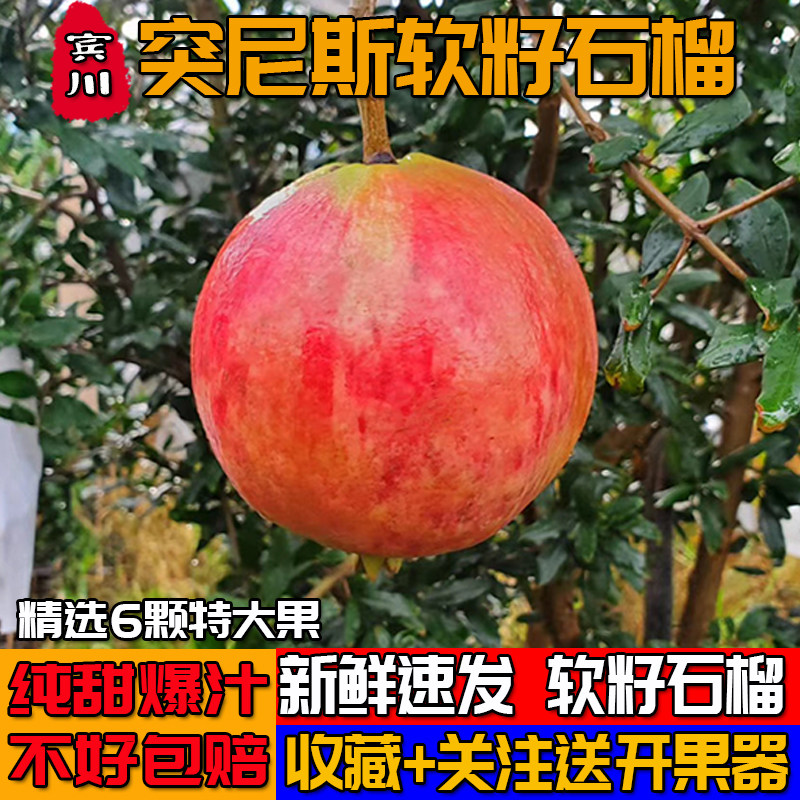 突尼斯软籽石榴云南宾川6颗大果