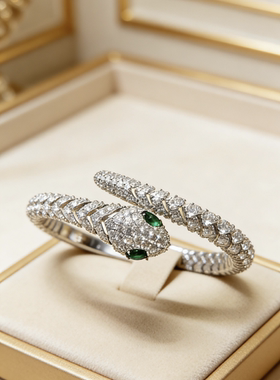 大码胖mm蛇形手镯女2025新款轻奢小众设计感高级气质百搭手环手饰