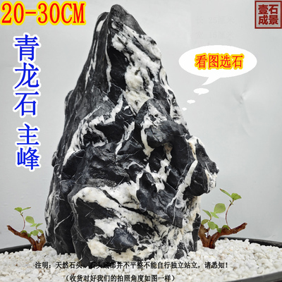 青龙石松皮石溪流石鱼缸造景石天然真石头草缸假山小块盆景微景观