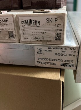 2xSKIIP1203GB123-2DK0048