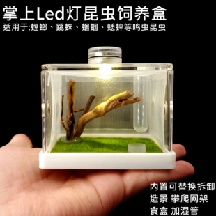 LED灯照明造景饲养盒螳螂昆虫鸣虫蝈蝈蟋蟀螽斯宠物饲养掌上活物