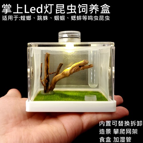 LED灯照明造景饲养盒螳螂昆虫鸣虫蝈蝈蟋蟀螽斯宠物饲养掌上活物
