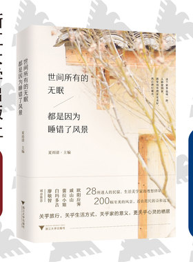 世间所有的无眠，都是因为睡错了风景 /夏雨清/浙江大学出版社/28座迷人的民宿，生活美学家的理想驿站