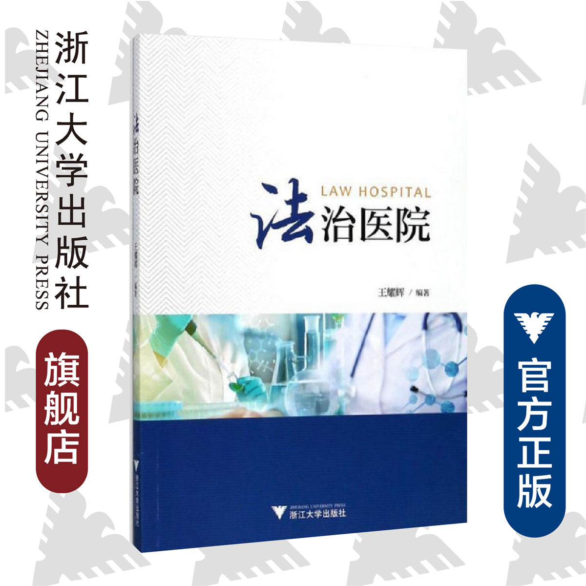 法治医院/王耀辉/浙江大学出版社