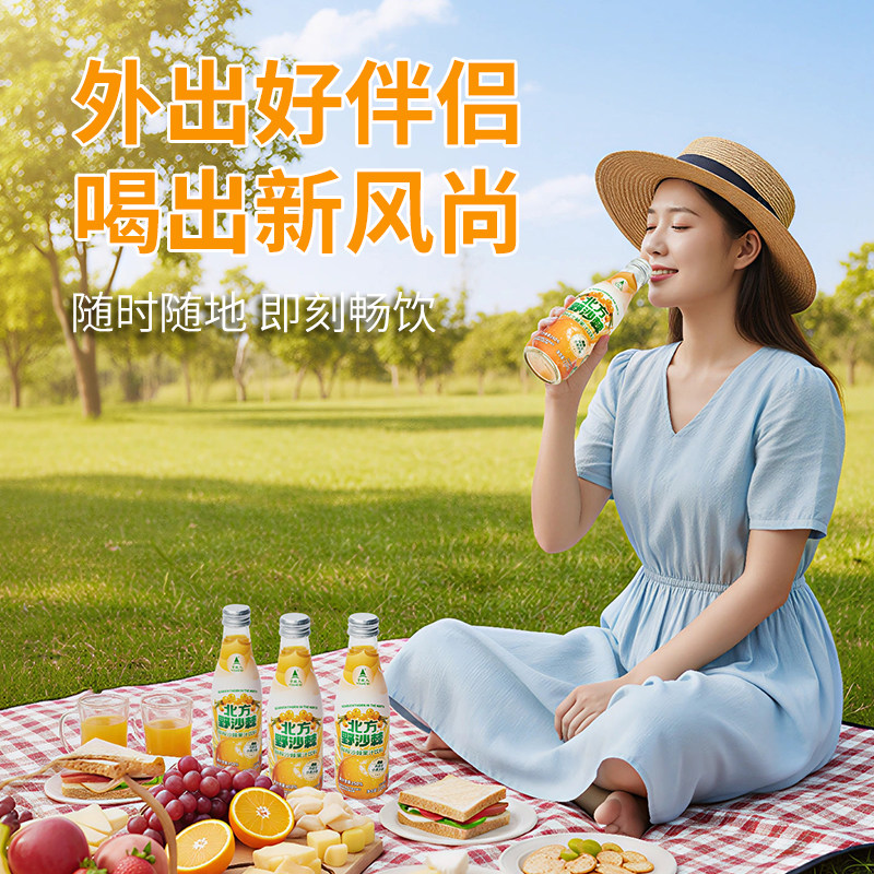 宇航人北方野沙棘210ml*10瓶图片